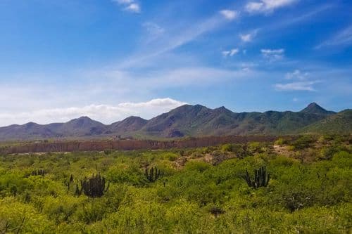 Villa Bahia de los Frailes - Image 44