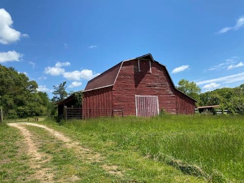 Innisfree Farm - Image 61