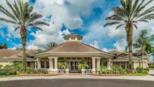 Sunny Palm - Image 49