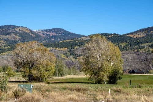 Bald Eagle Retreat - Image 45