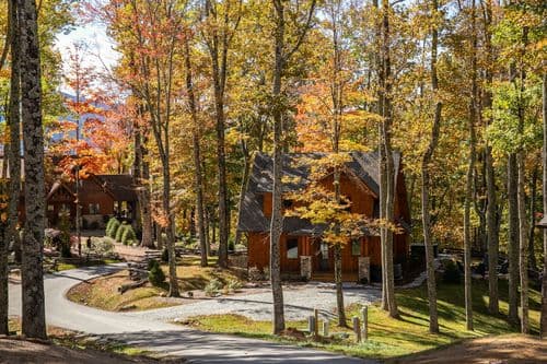 Teddy Bear's Retreat - Image 33