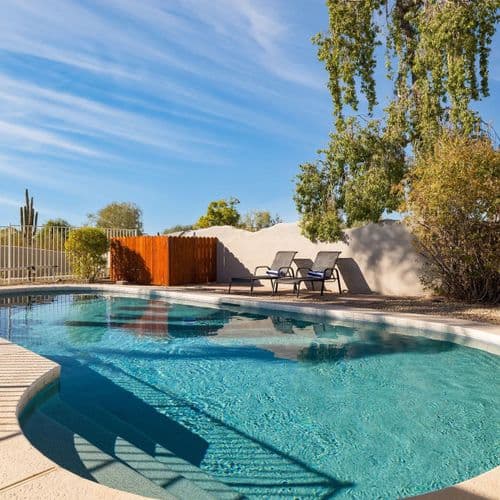 Sonoran Sunshine - Image 2
