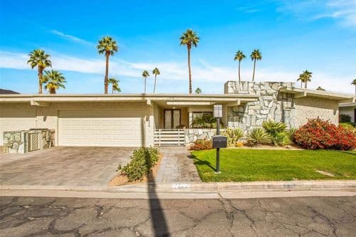 Canyon Palm - Image 60