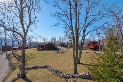 Grin Inn Bear - Image 46