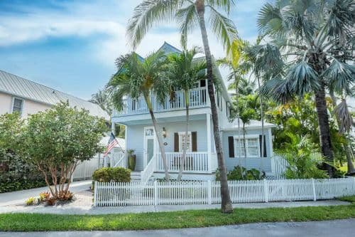 Tropical Retreat - Image 2