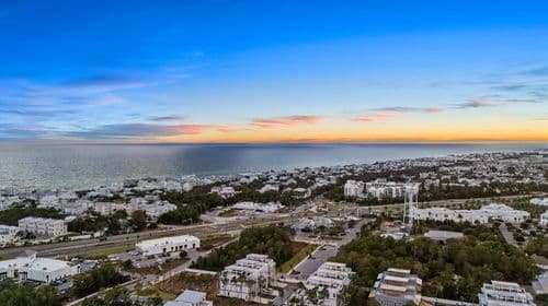 Coastal Canopy - Image 74