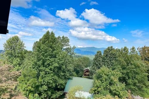 Little Black Bear Retreat - Image 2