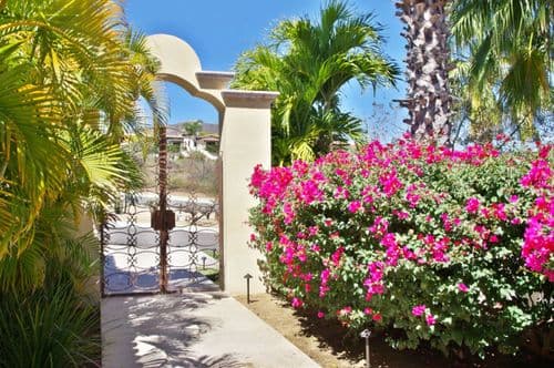 Tortuga Place - Image 148