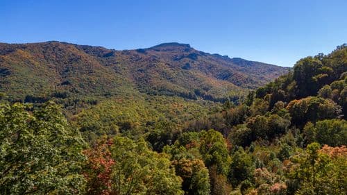Big Bear Escape - Image 30
