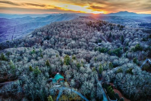 Blueberry Hills - Image 43