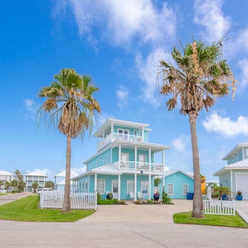 Blue Fin Oasis - Image 1