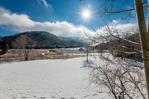 Fawngrove Townhome #1678 - Image 42