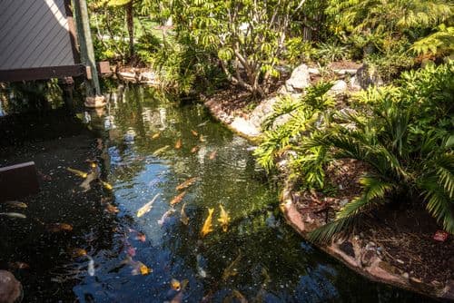 Tropical Oasis #E108 - Image 49