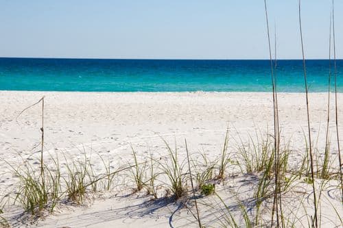 Flipper's Retreat - Image 49