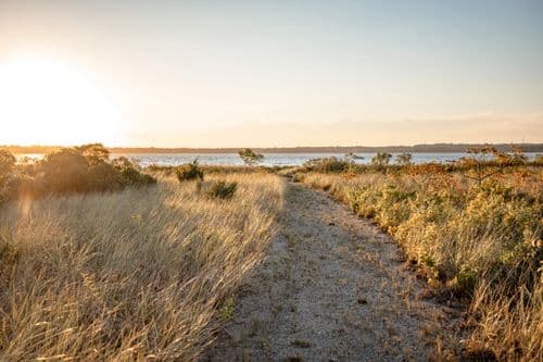 Brill Beach - Image 2