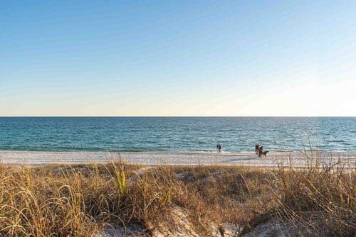 Paradise on Park - Image 54