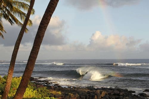 Hale Kainani #6 E Komo Mai - Image 36