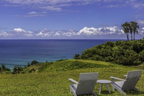 Hale Lani - Image 23