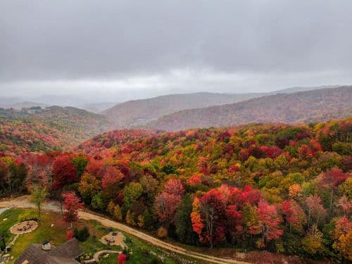 Green Valley II - Image 44