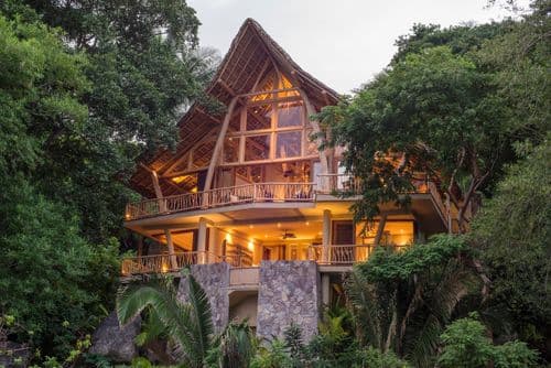 Tree House - Image 1