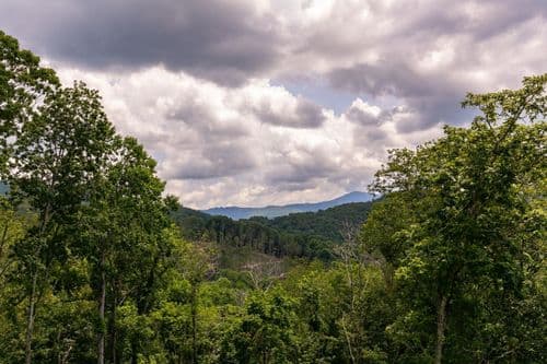 Bearingers Bluff - Image 51
