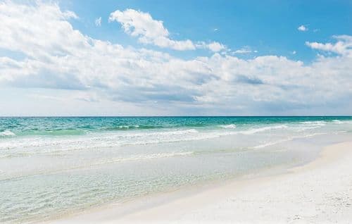 Mimi's Pearl - Image 28