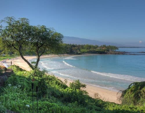 Ohana Spirit - Image 65