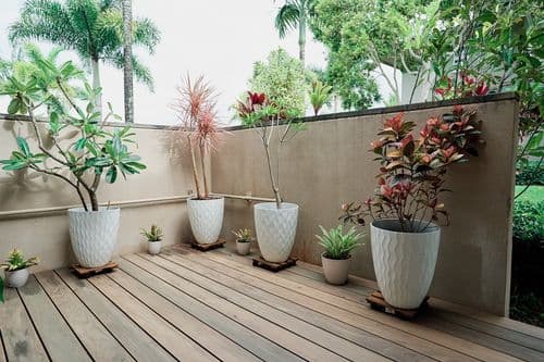 Hale Kai - Image 40