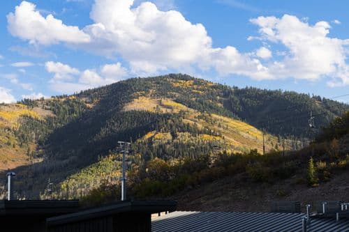 Apex #208 - Image 49