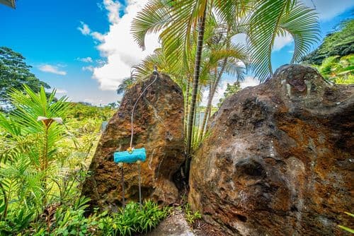 North Shore Tropical Hale - Image 36