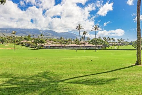 Maui Eldorado - Image 34