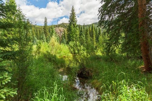 Independence Lodge - Image 43