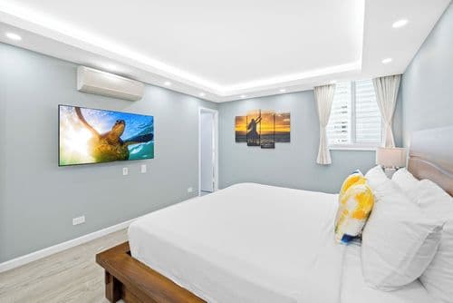 Scandia Tower Condo - Image 2