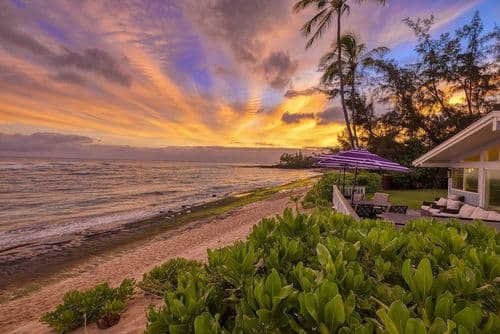 Sea Turtle Ranch - Image 23