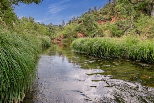 On the Creeks Edge - Image 37