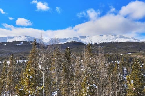 Shadows Summit - Image 51