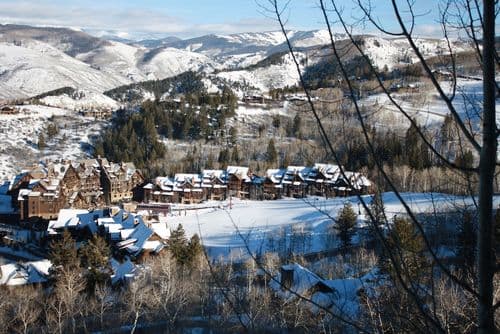 Snowberry - Image 52