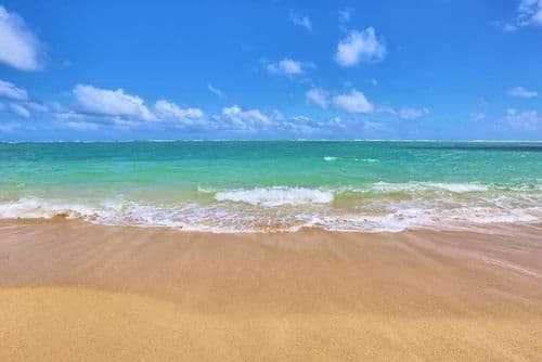 Locale Hilo Condo - Image 34