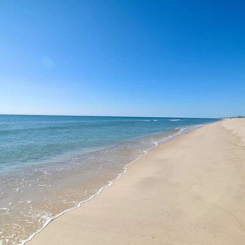 Dunes Lane - Image 30