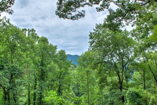 The Honeybee Hideaway - Image 2