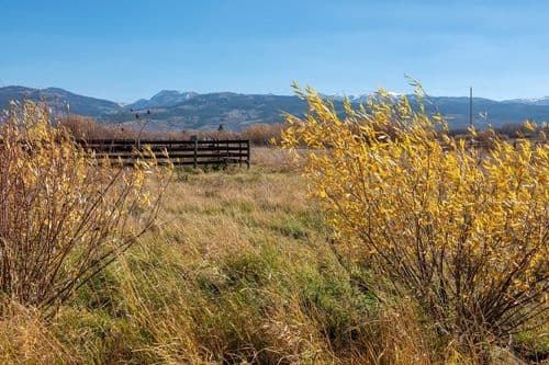Teton Vista Retreat - Image 51