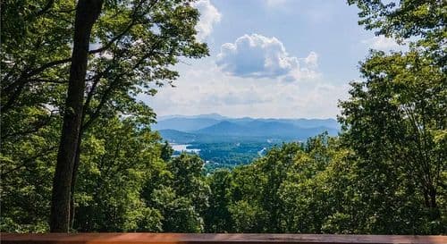 Views & Brews - Image 2