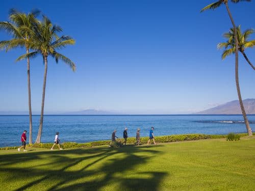 Wailea Elua Village #2104 - Image 33