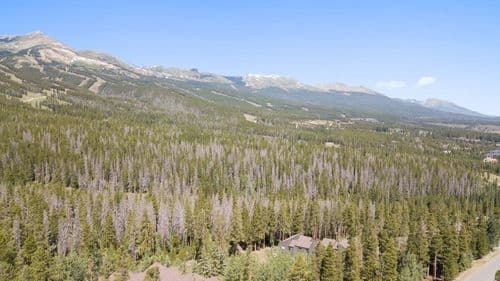 Peaks and Pines - Image 31
