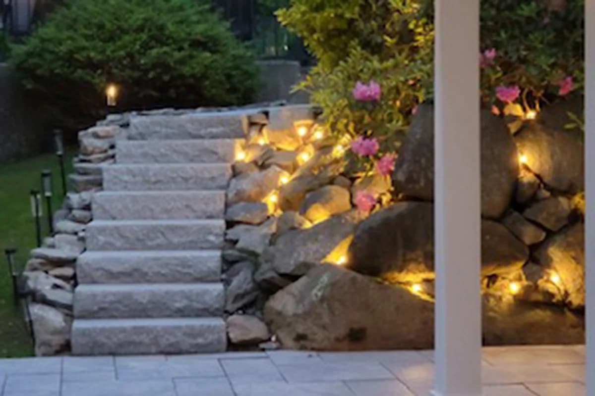 Escape House - Image 19