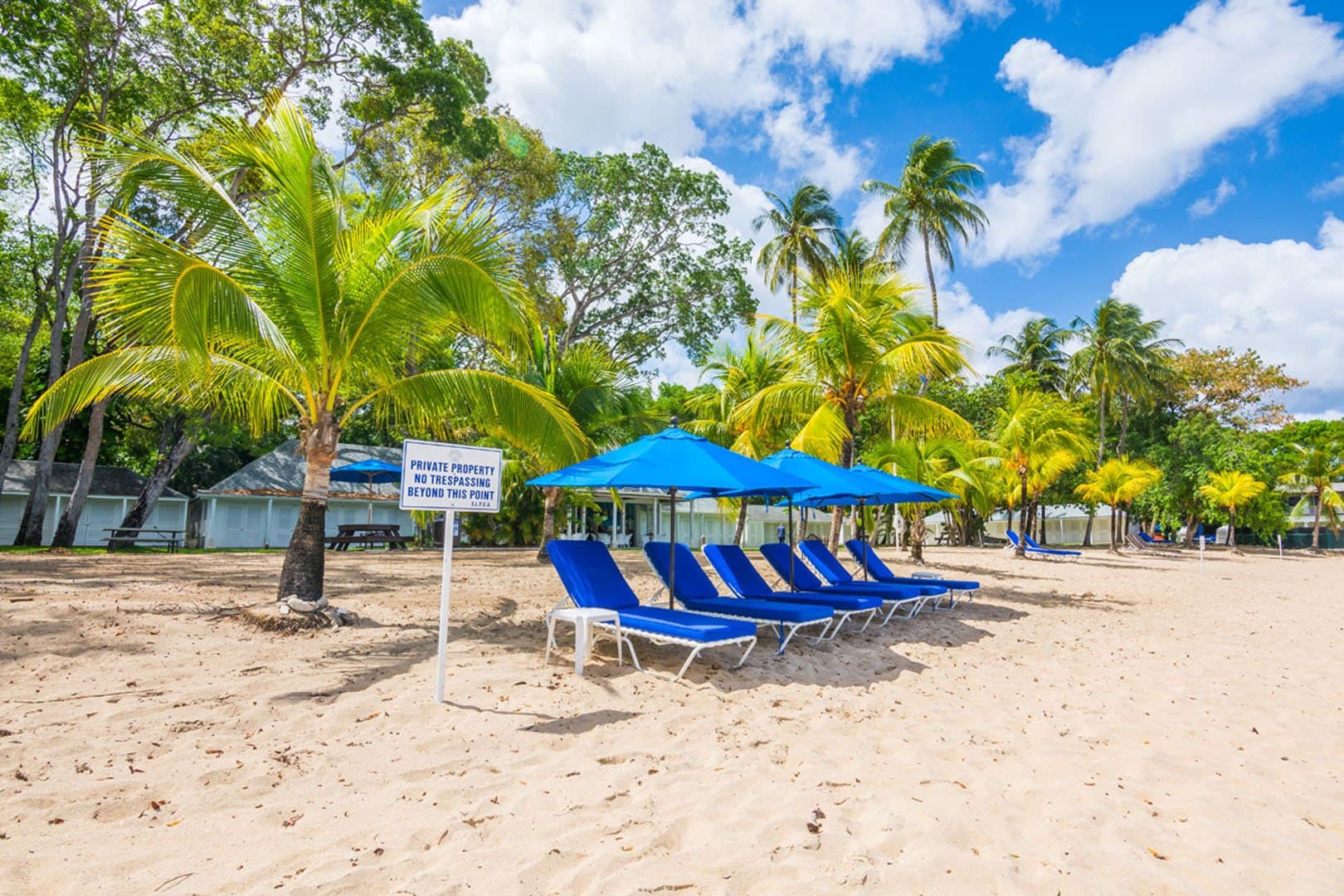 Sandy Lane Sanzaru - Image 32