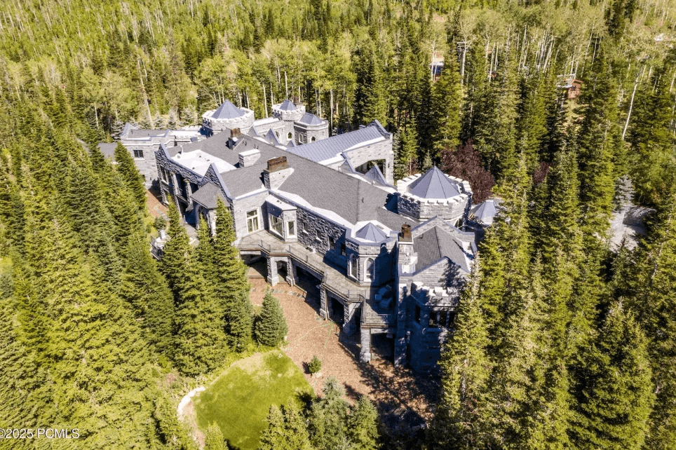 Colony Ski Castle - Image 1