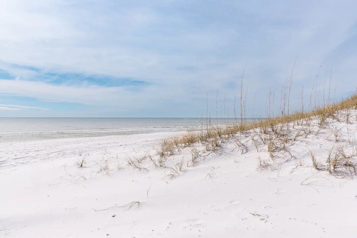 Beachside Dream #121 - Image 61