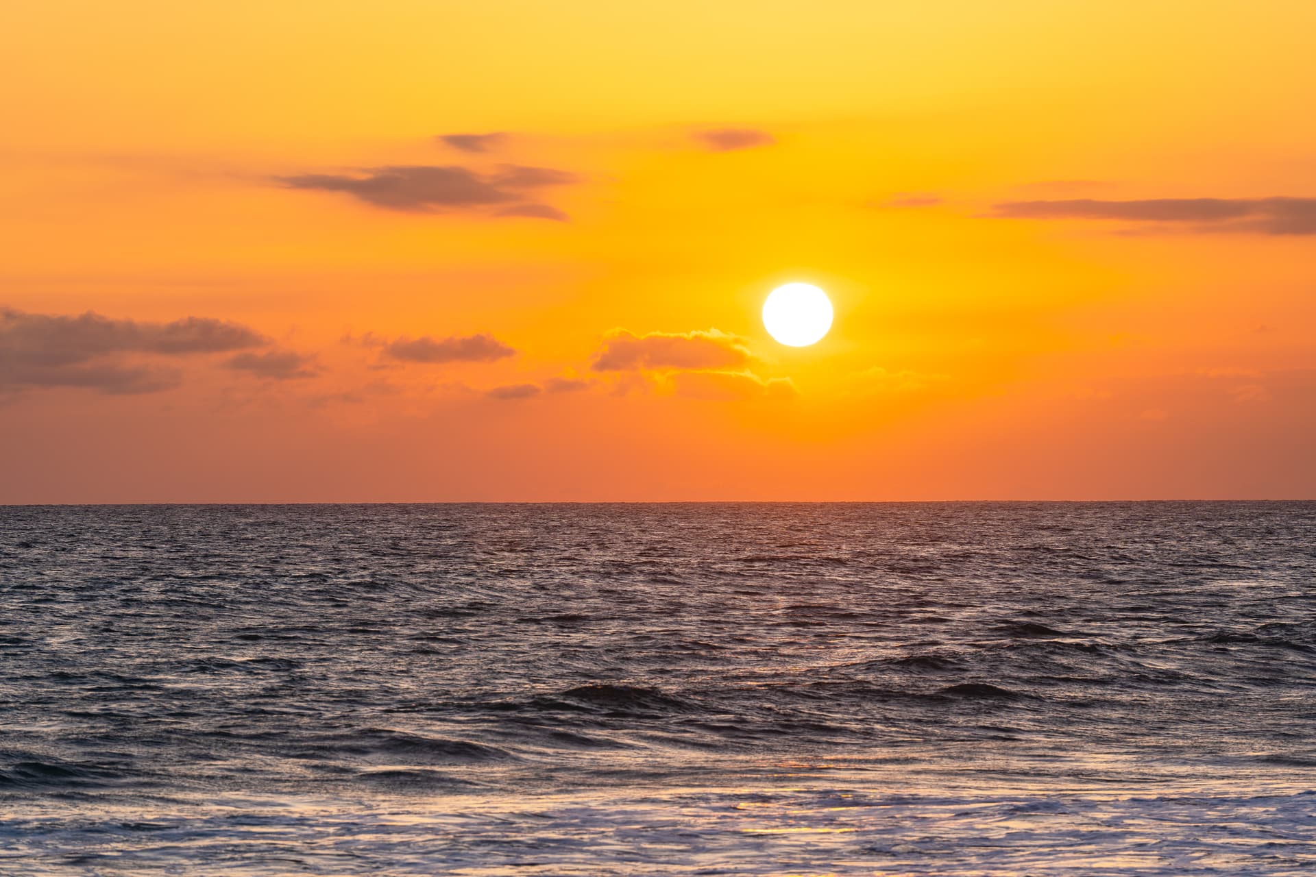 Sea Star Entire Home - Image 79