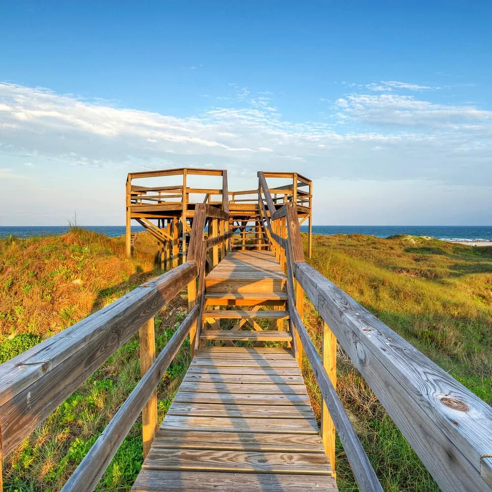 Tipsea Turtle House - Image 3